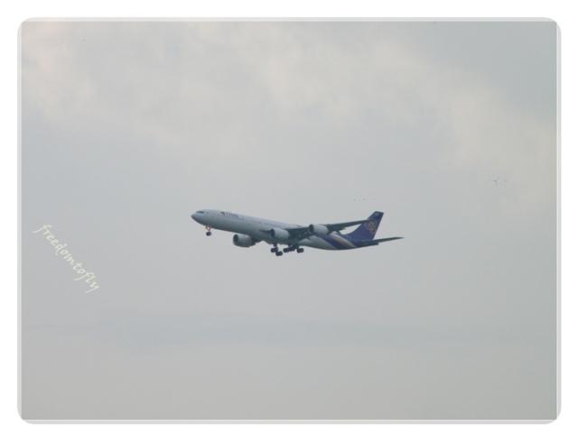 DSCF6435.JPG